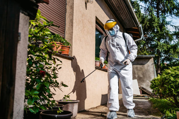 Best Wasp Removal Services  in Highland, IL