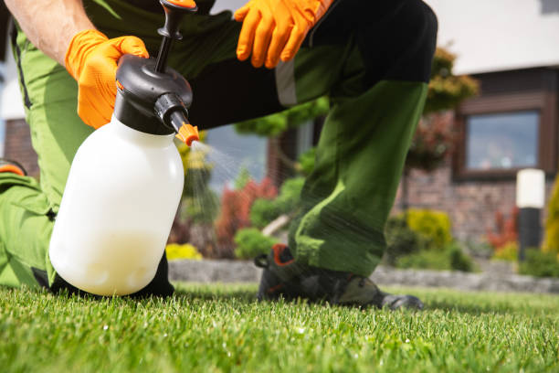 Trusted Highland, IL Pest Control Experts