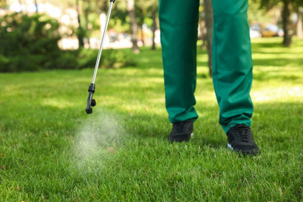 Best Ant Control Services  in Highland, IL