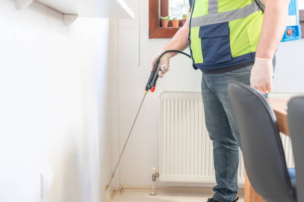 Best Local Pest Control Services  in Highland, IL